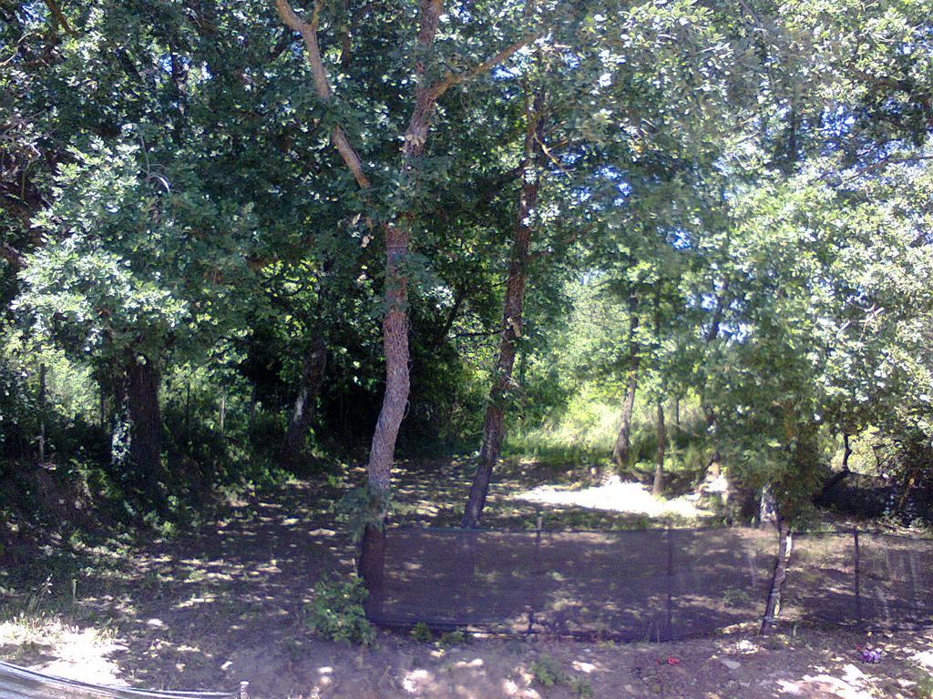 Agriturismo San Pietro Gangi Bagian luar foto