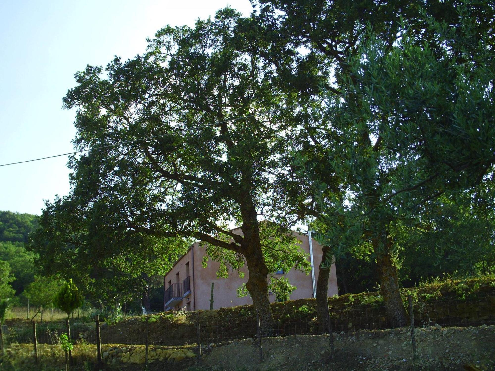 Agriturismo San Pietro Gangi Bagian luar foto