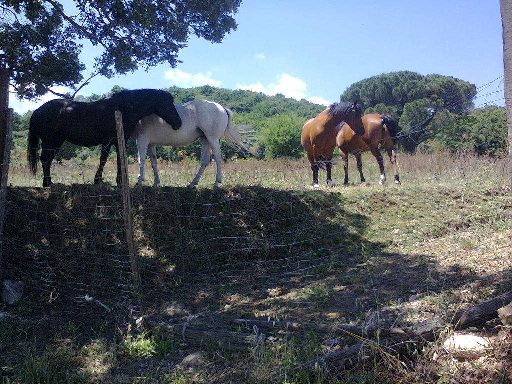 Agriturismo San Pietro Gangi Bagian luar foto