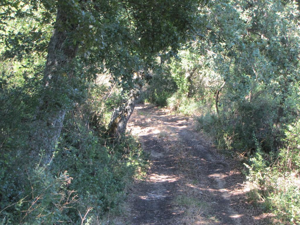 Agriturismo San Pietro Gangi Bagian luar foto