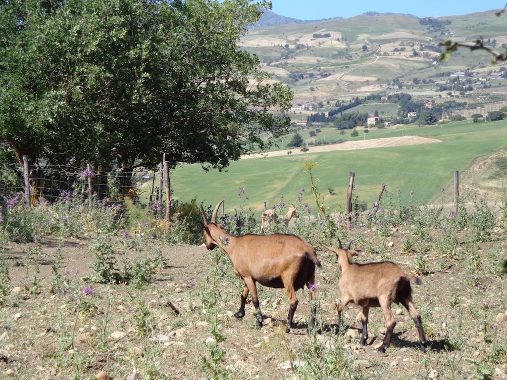 Agriturismo San Pietro Gangi Bagian luar foto