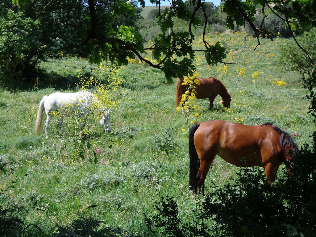 Agriturismo San Pietro Gangi Bagian luar foto