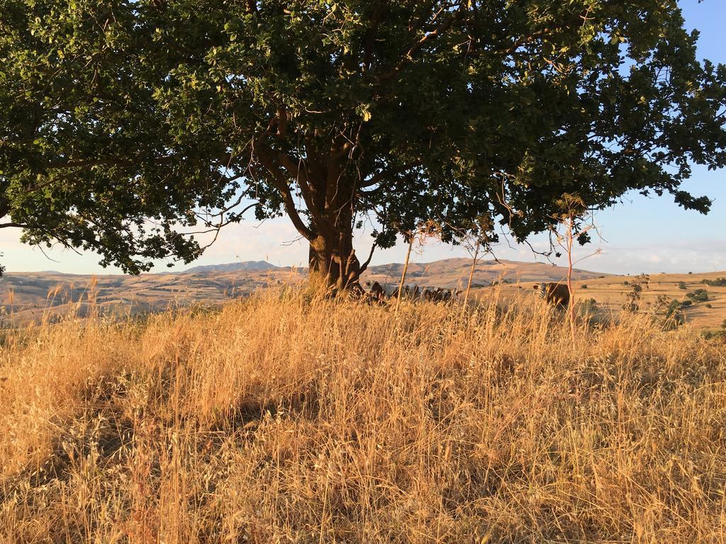 Agriturismo San Pietro Gangi Bagian luar foto